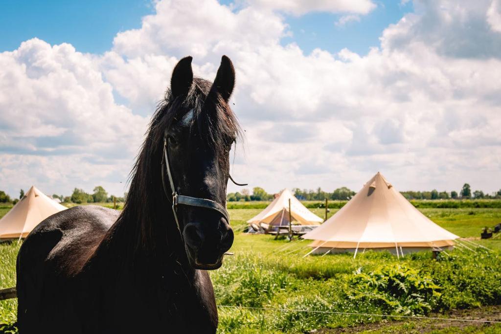 Smuk Lytse Bell Tent Echtenerbrug Zewnętrze zdjęcie